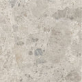 Gray marble ceppo gris 60 x 60cm tile with subtle veining and speckled patterns for elegant flooring and surfaces