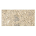 Beige and gray speckled ceppo mix stone tile with natural textured surface measuring 60 x 120cm