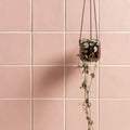 A hanging dark purple ceramic planter with glossy finish suspended by black cords against pink clare field tile wall