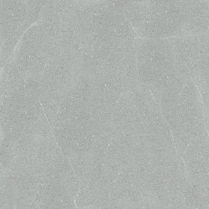 Cleveland 1833 Grey Matt