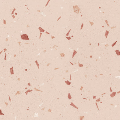 Coral Fragment 20x20cm