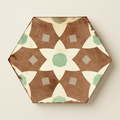 Cordoba hexagon tile with vintage distressed ceramic pattern in brown cream and mint green geometric shapes