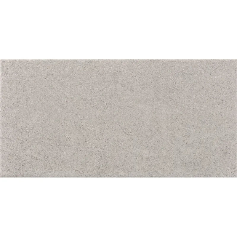 Dafne Perla Matt 25 x 50cm