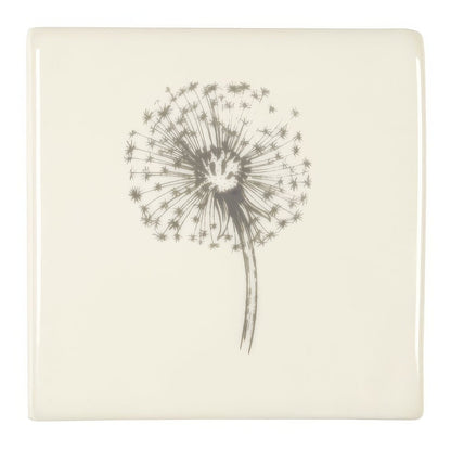 Dandelion On Off White
