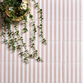 A gold-toned round porcelain planter holding a trailing green eucalyptus plant for deck chair rose decor