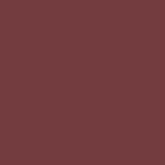 Fired Earth Dragon's Blood Paint - alternate view