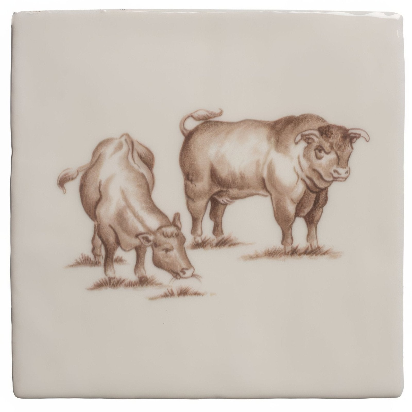 Cream-colored ceramic tile with a detailed sepia illustration of two brown cattle on cotton fabric background