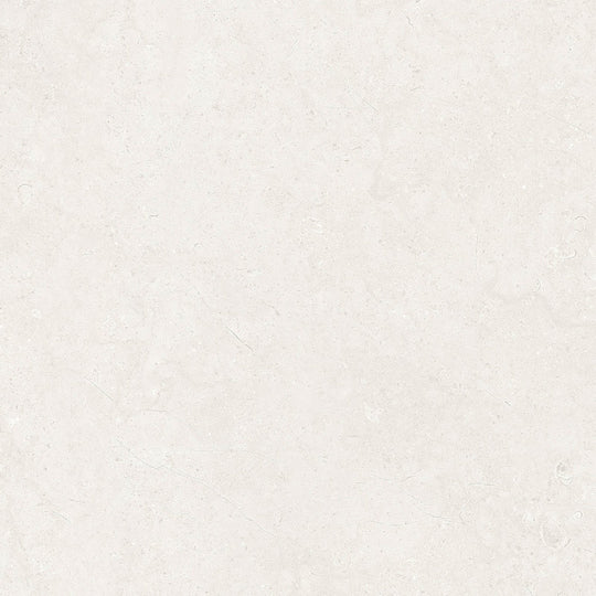 Dual White Matt 60 x 60cm