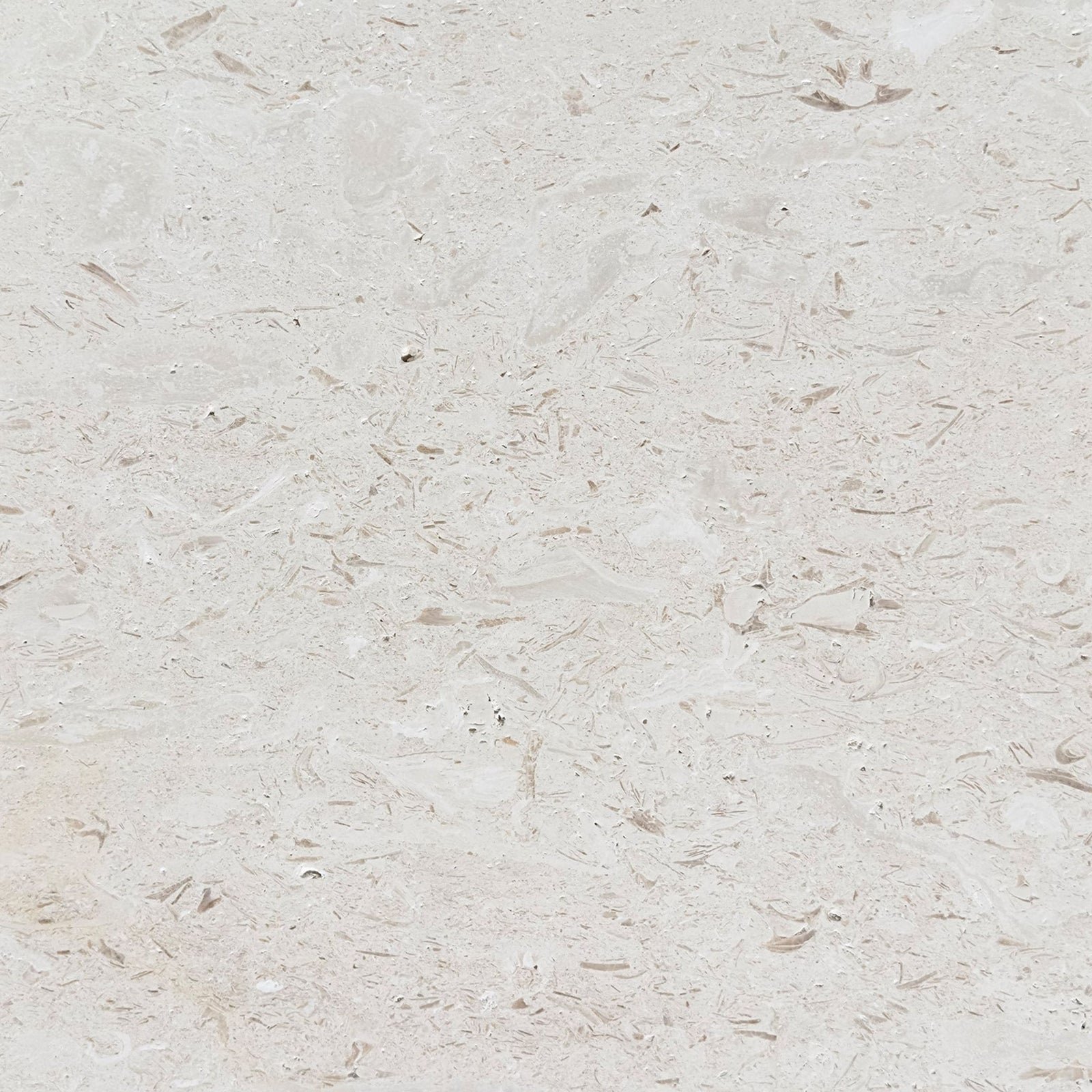 Shellstone brushed limestone tile in warm beige with fossil flecking