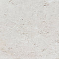 Shellstone brushed limestone tile in warm beige with fossil flecking