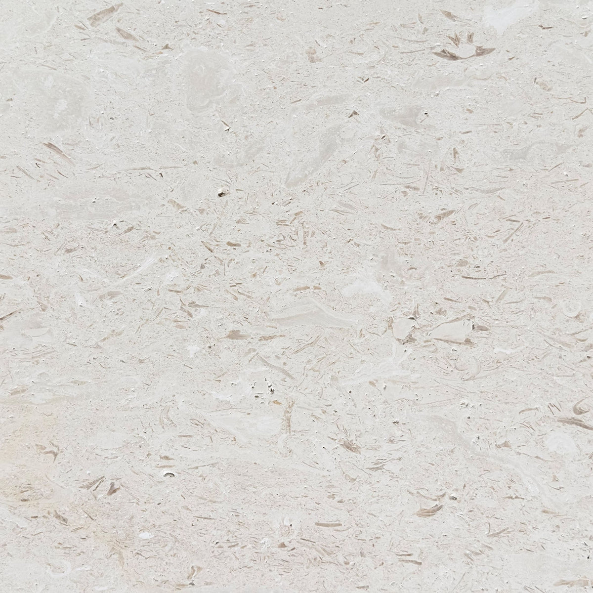 Shellstone brushed limestone tile in warm beige with fossil flecking