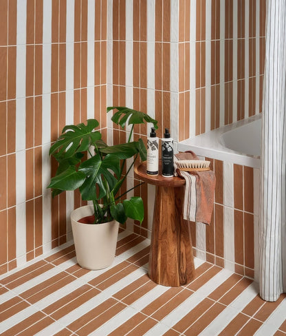 Earthenware Porcelain Red Clay