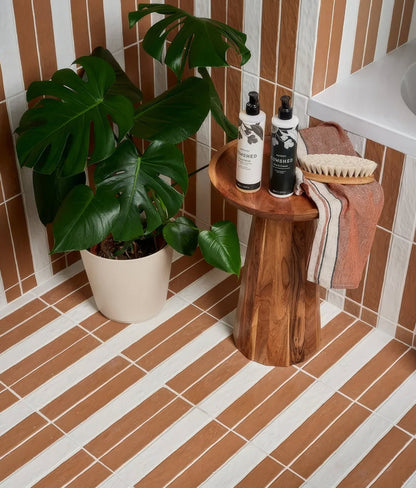 Earthenware Porcelain Red Clay