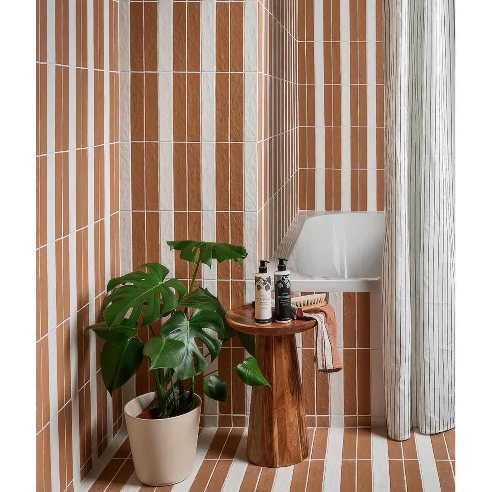 Earthenware Porcelain Red Clay