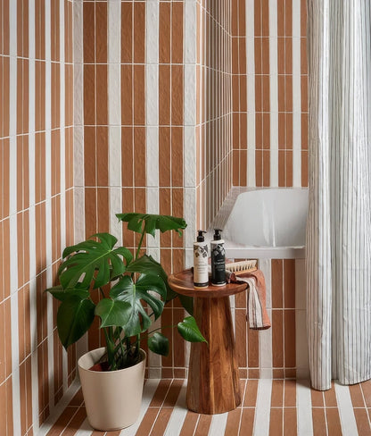 Earthenware Porcelain Red Clay