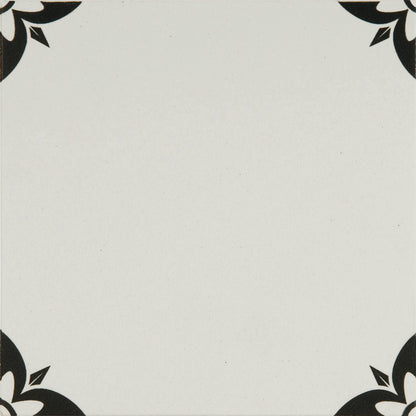 Empire Black on Dover White