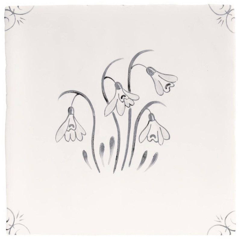English Delft Charcoal Snowdrop