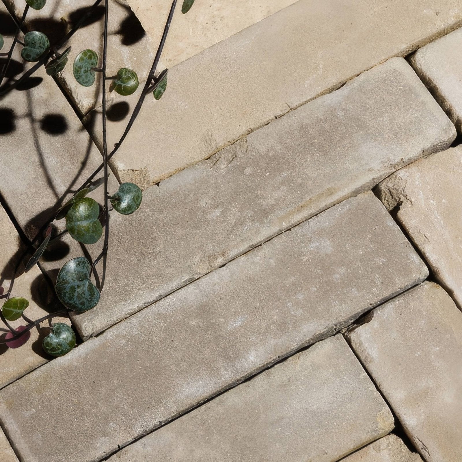 Beige rectangular flanders buff tumbled clay pavers with textured slightly weathered stone surface