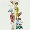 A decorative floral border with stylized deep red, soft blue, and emerald green blossoms on brilliant white