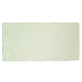 A sleek rectangular ceramic tile with glossy off-white finish and slightly rounded edges forecast arran rectangle glazed tile