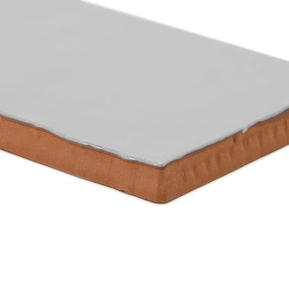 Forecast Cromarty Rectangle Glazed Tile