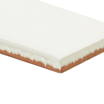 Forecast Wight Rectangle Glazed Tile