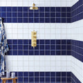 Gold-toned showerhead with brushed metallic finish and circular design shown with forecast wight rectangle glazed tile