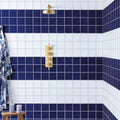 Gold-toned circular showerhead with brushed metallic finish featured with forecast wight square glazed tile
