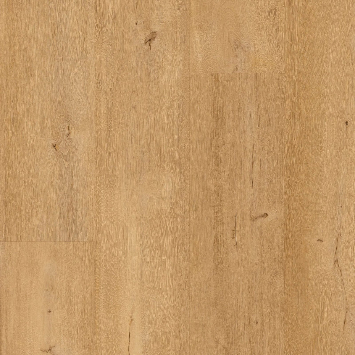 
Frangipane F095 XL vinyl planks featuring light oak hardwood flooring with natural wood grain and subtle knots