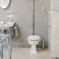 White ceramic toilet with classic design and rounded edges featured in giralda niebla grey skirting product image