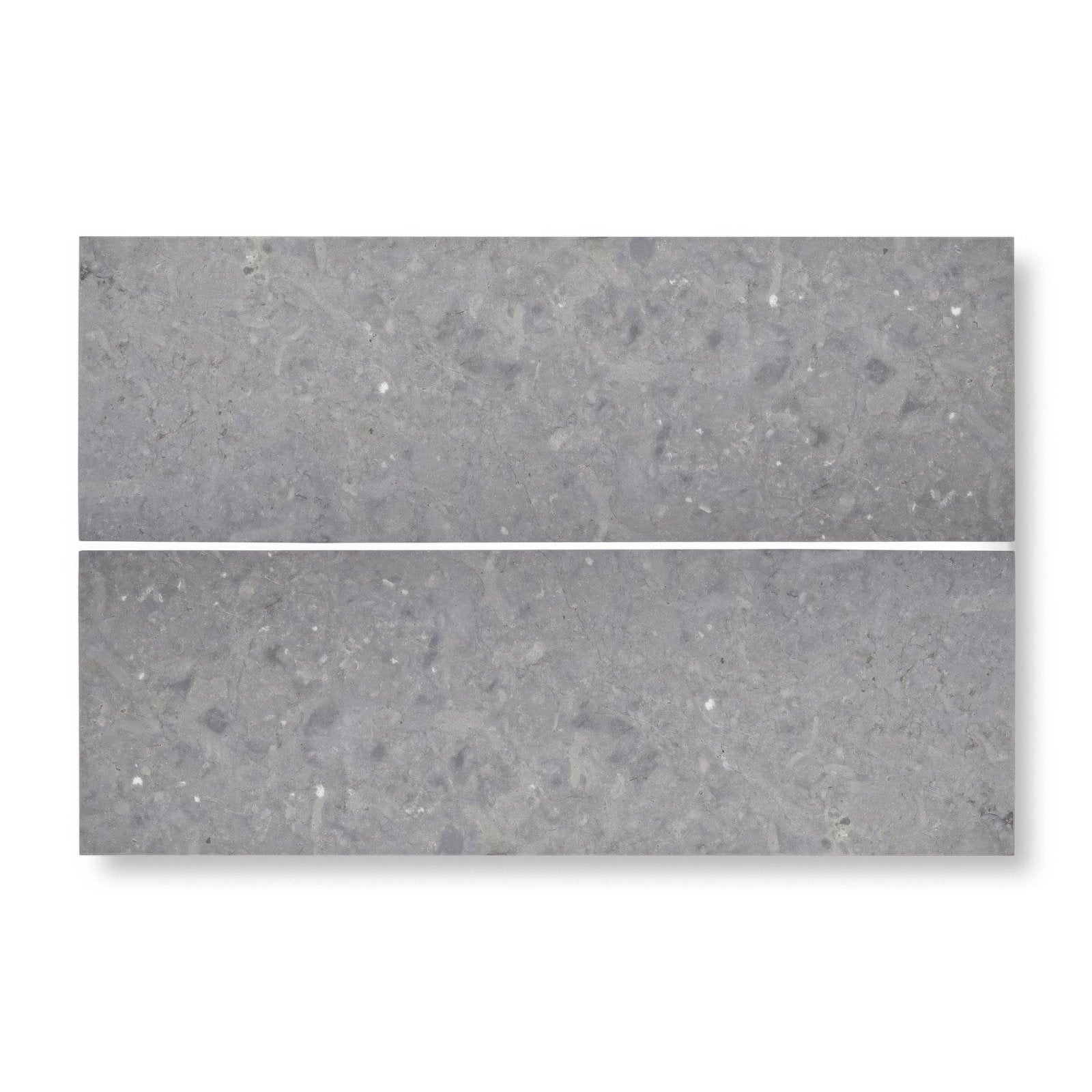 Two rectangular gray terrazzo tiles with a speckled textured surface from hampton bays 10 x 30cm honed collection
