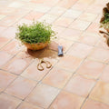 Handmade classic terracotta square tile 20 x 20cm with a terracotta bowl filled with lush green thyme