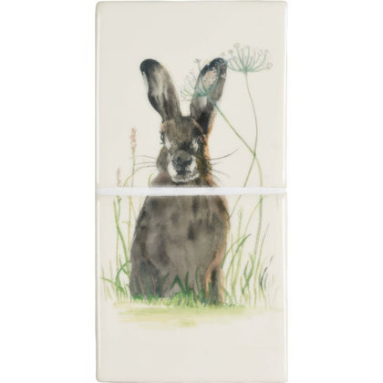 Hare in Hiding 2