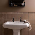 White ceramic pedestal sink ickworth hampton with black faucet handles for bathroom use