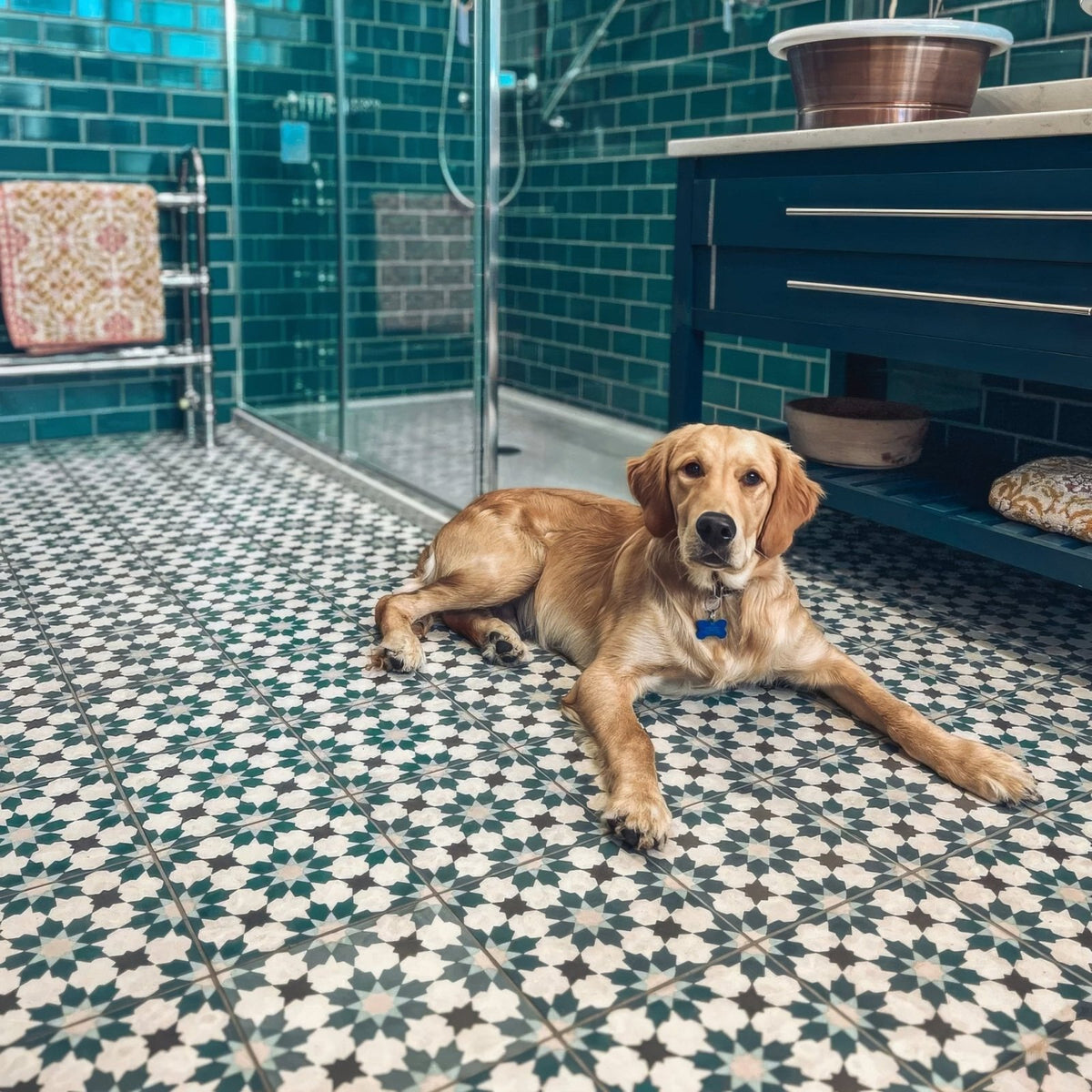 Golden retriever with blue collar tag lying on infusion amparo patterned tile bathroom floor