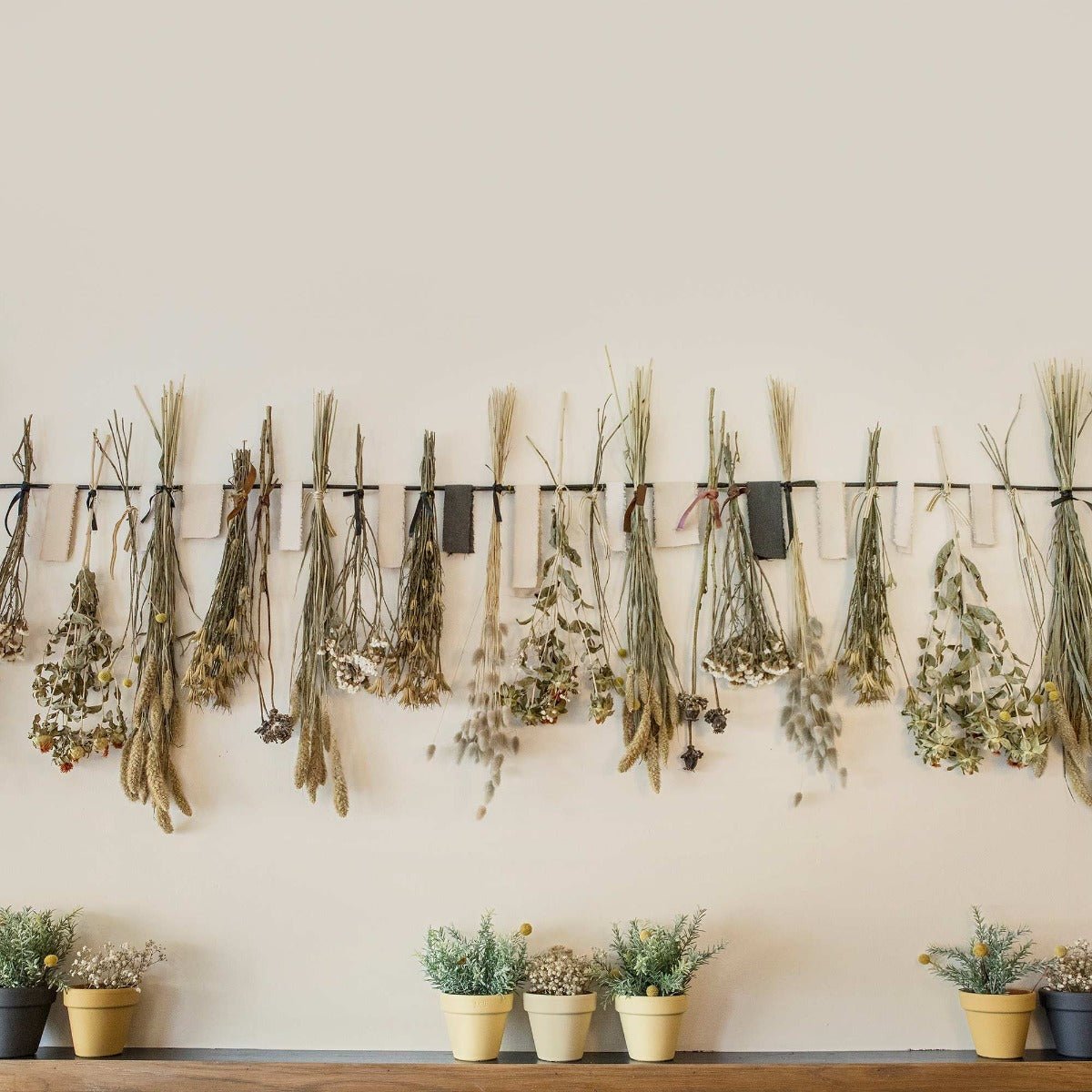 Ivory dried botanicals collection with beige tan muted green grasses and flowers on wall-mounted rack