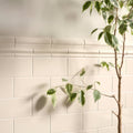 Ivory Half Tile – detail view 6