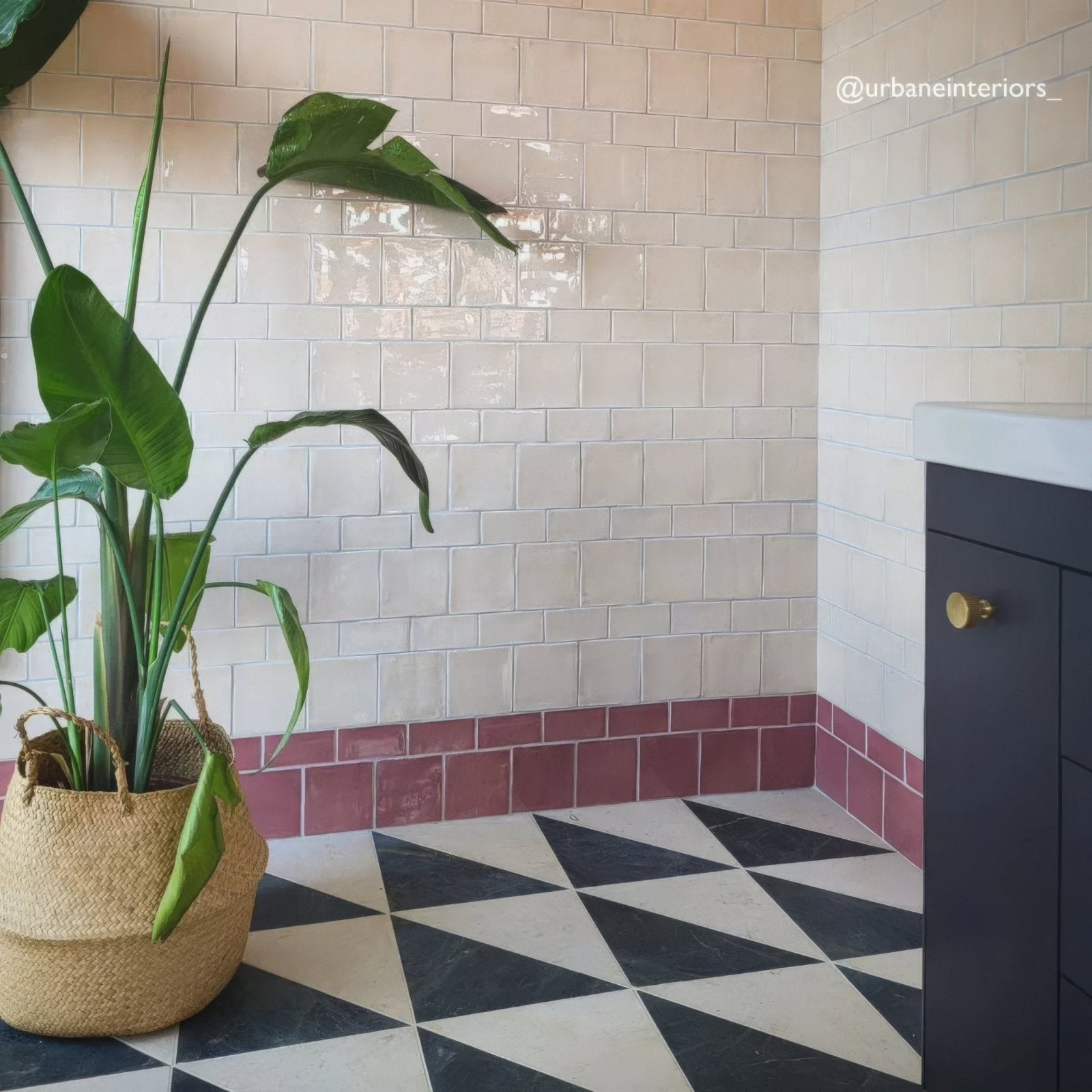 A tall leafy green plant in a woven jute pot against Jaipur Pompeiian red glazed rectangle tiles with white wall