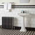 White ceramic pedestal sink with classic elegant design for jet black albert moulding collection