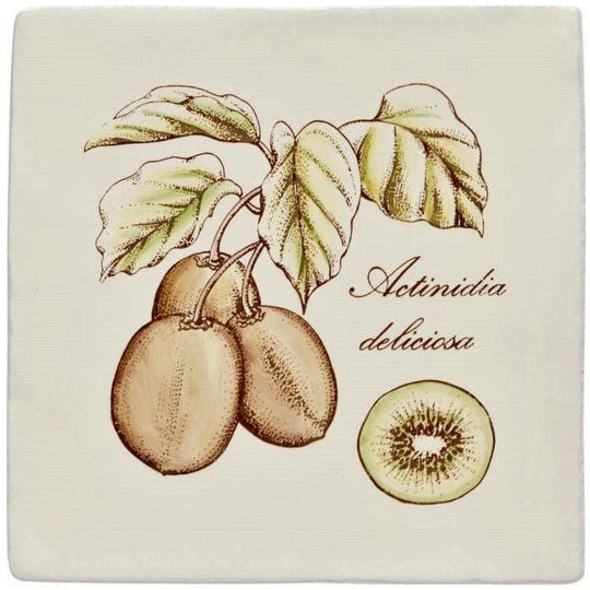 Kiwi on Palomino - alternate view