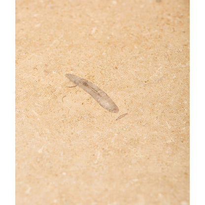 Lacock Limestone Tumbled Finish