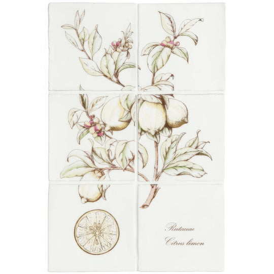 Lemon 6 tile panel on Cotton