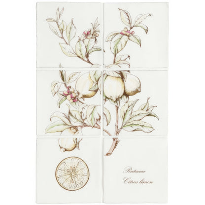 Set of six white ceramic tiles with botanical lemon and leaf illustrations in green yellow and pink on cotton panel