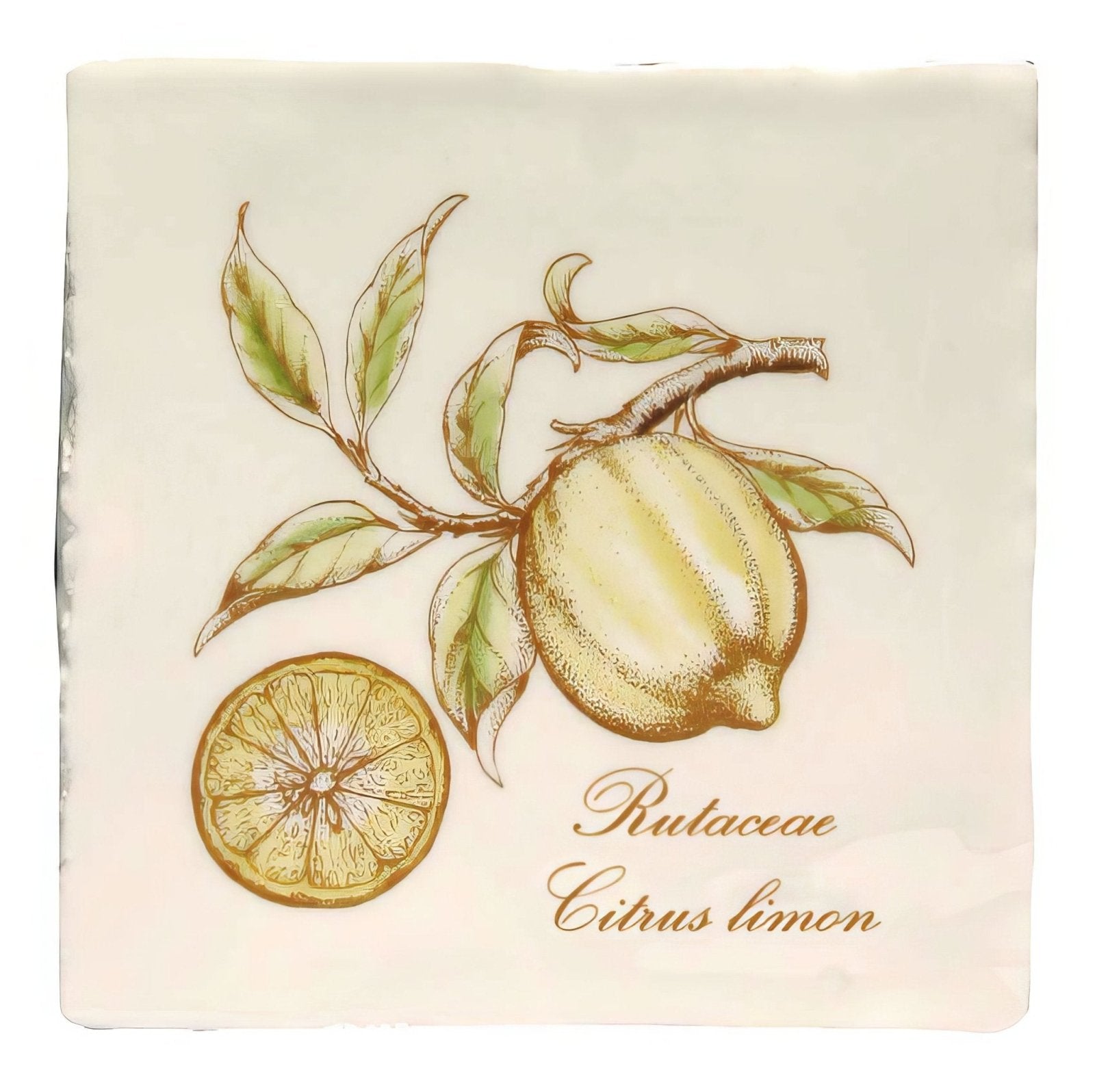 Lemon on Cotton