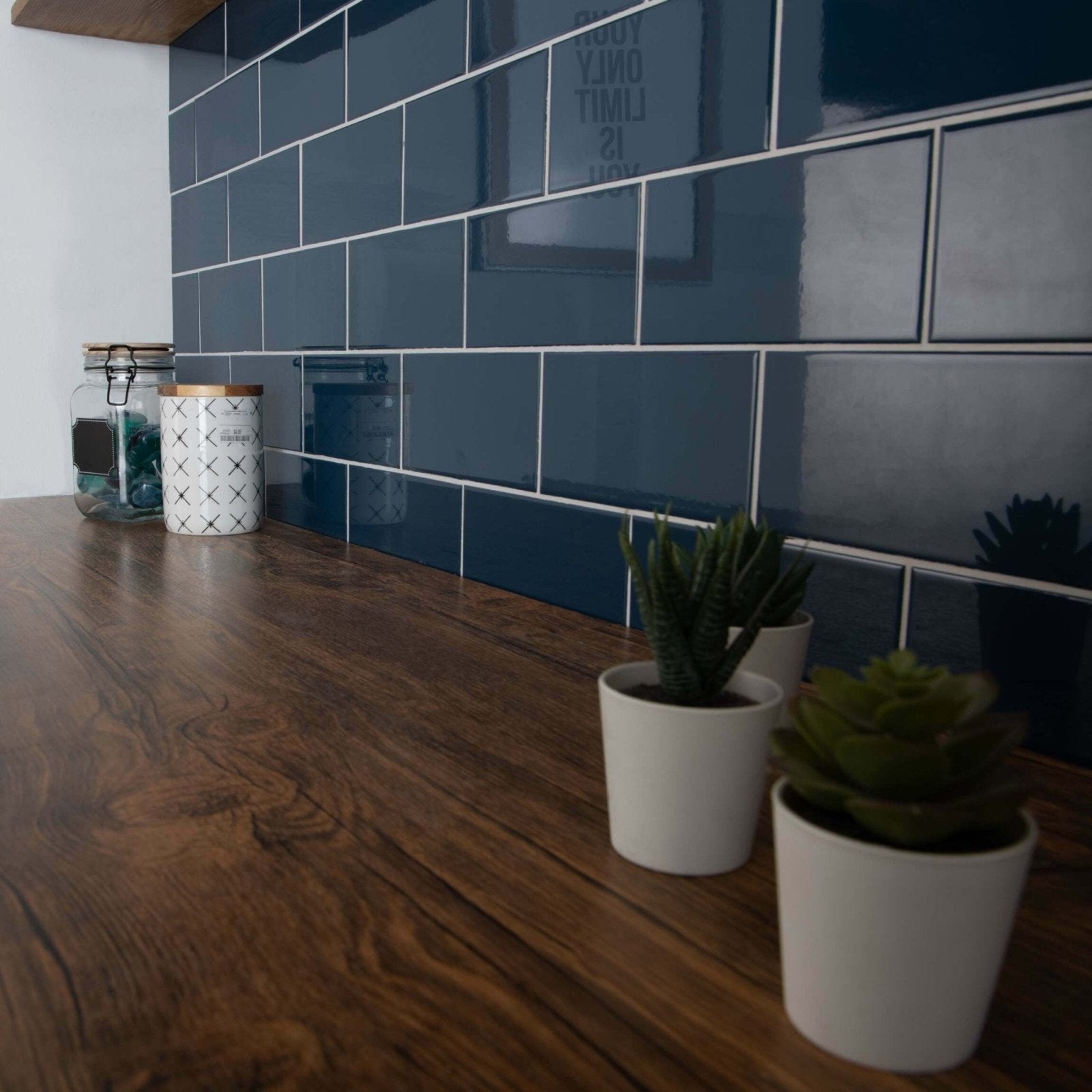 White ceramic pots with green succulents on wooden countertop showcasing liso marino gloss 100x200 tile surface