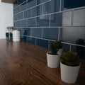 White ceramic pots with green succulents on wooden countertop showcasing liso marino gloss 100x200 tile surface