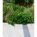 Lithos Porcelain Paving Textured Blanc light grey paving tiles