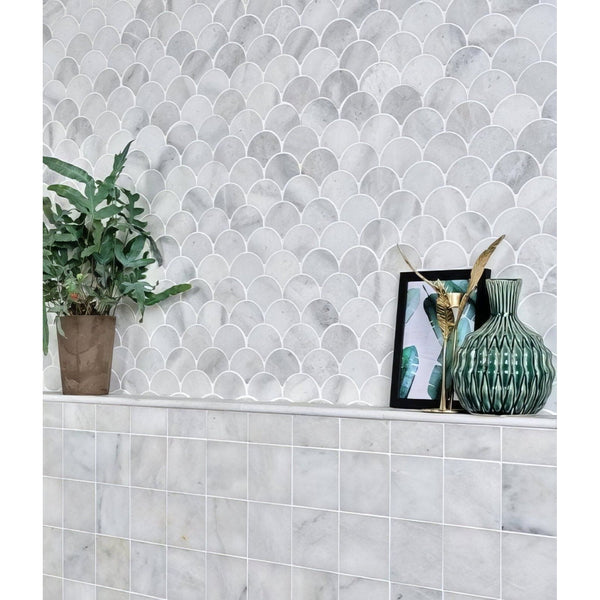 Scallop Mosaic