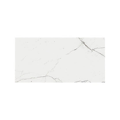 Lucca Statuario Venato 60 x 120cm