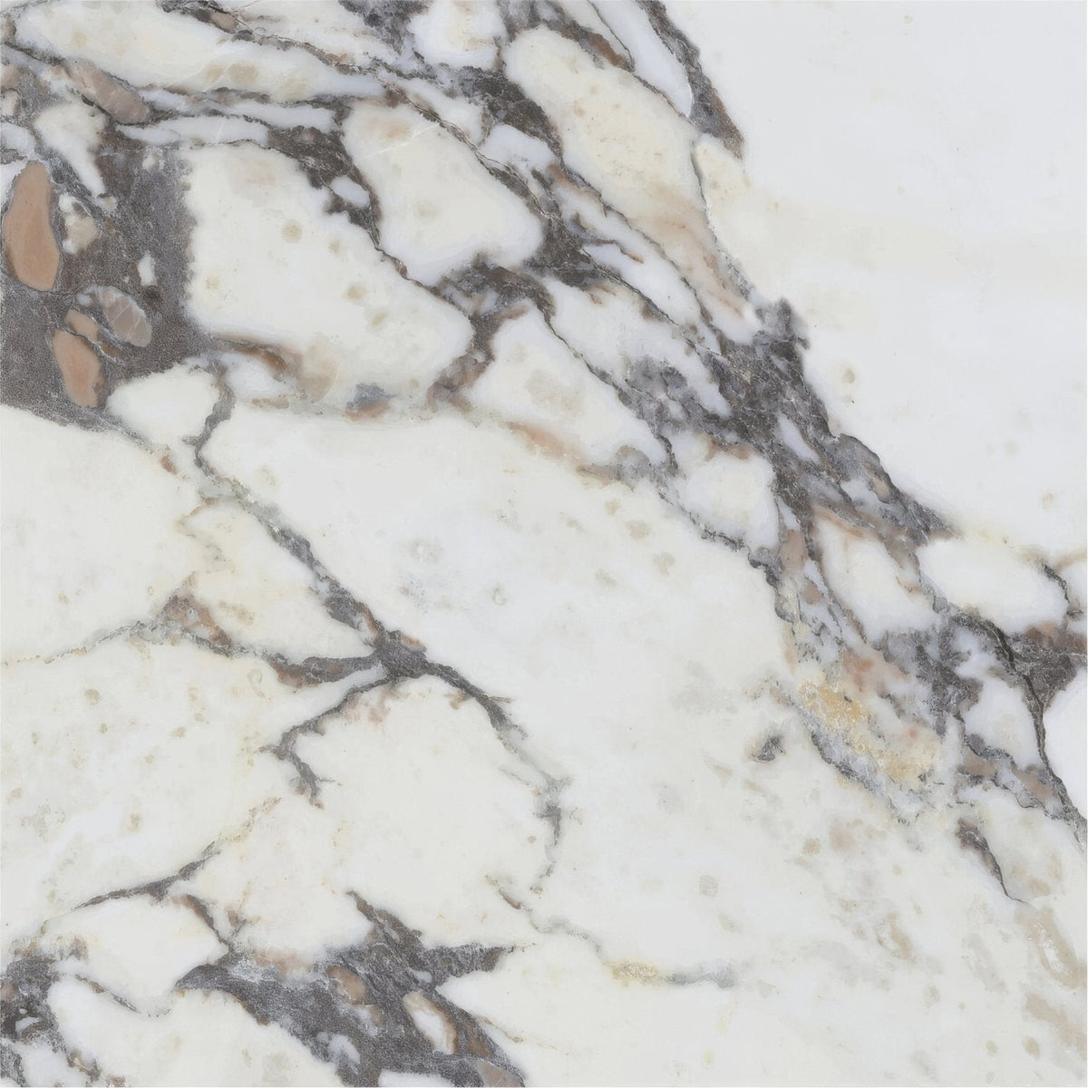White marble slab lux viola 60 x 60cm with intricate gray and beige veining for elegant interior use